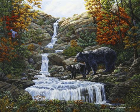 Forest Wildlife Art Wildlife Paintings Gallery
