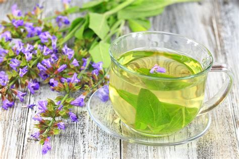 18 Beneficios de la Salvia que Quizás Desconocías Mis Remedios