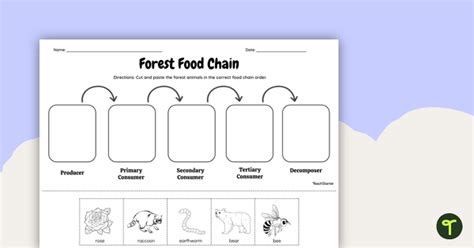 Forest Food Chain Cut And Paste Worksheet Teach Starter