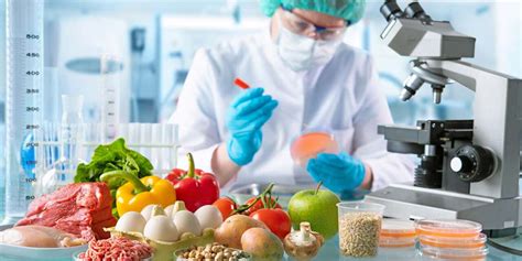 Master Of Science Food Science And Technology Curtin University