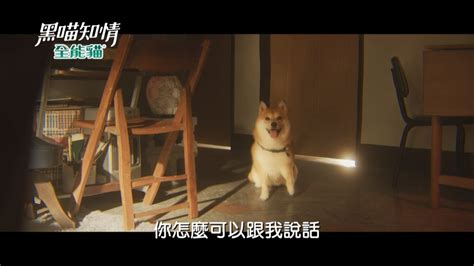 1932年1月28日晚，日軍突然向 上海 閘北 的 國民革命軍第十九路軍. 《黑喵知情》第七集預告 羅鈞的神祕力量終於開啟｜四季線上4gTV
