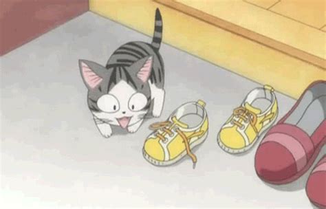 Sep 15, 2020 · bunny_gif says that, personally, she likes not putting on makeup or doing her hair. cat animated GIF
