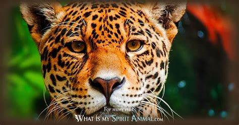 Jaguar Symbolism And Meaning Spirit Totem And Power Animal