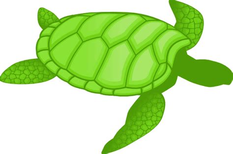 Green Sea Turtle Clip Art At Vector Clip Art Online