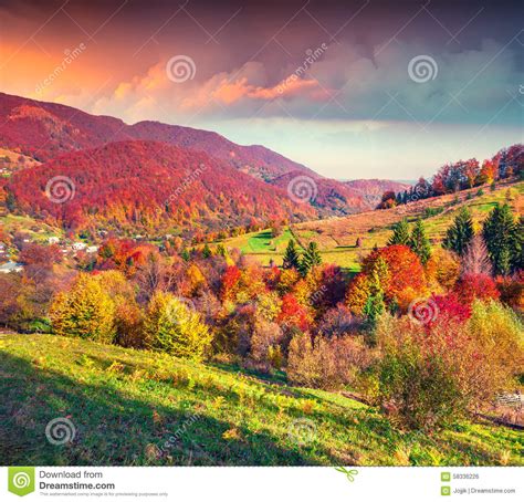 Fantastic Colors Autumn Landscape In The Carpathian