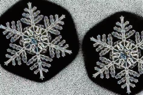 Caltech Alumni Association Who Ever Said No Two Snowflakes Were Alike