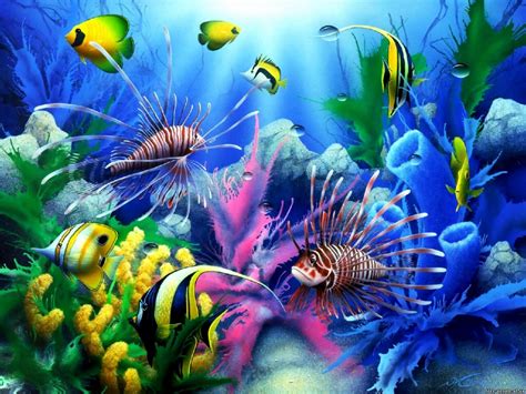 Sea Fish Underwater World Hd Wallpaper