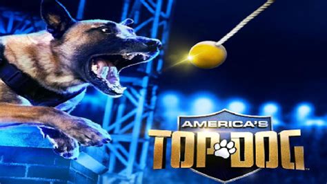 Americas Top Dog Season 2 Cancelled Or Renewed