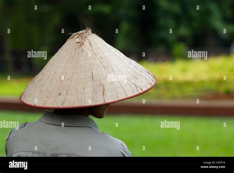 The Conical Asian Hat Sedge Hat Paddy Hat Rice Hat Coolie Hat