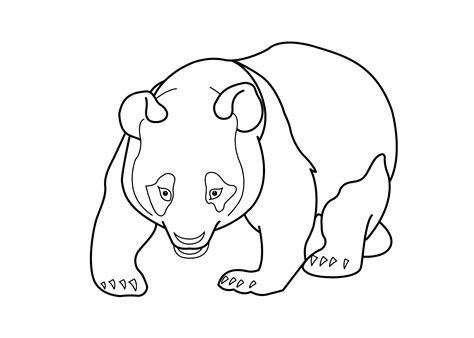 Panda Coloring Pages Best Coloring Pages For Kids