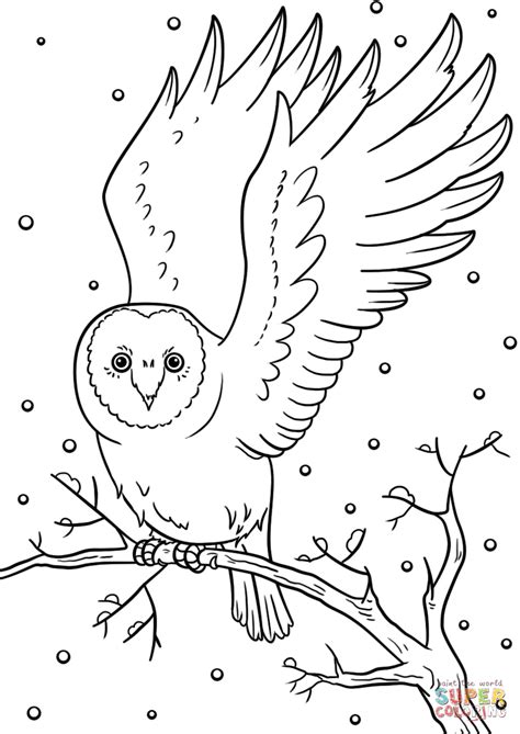 Winter Owl Coloring Page Free Printable Coloring Pages