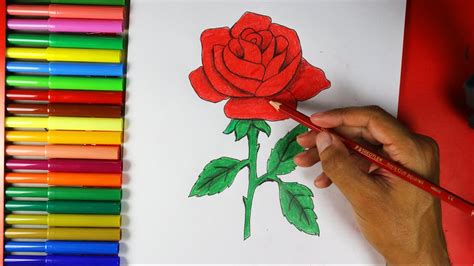 Here you will learn how to draw a rose easy for beginners & kids in a step by step process. How to Draw a Rose Easy - YouTube