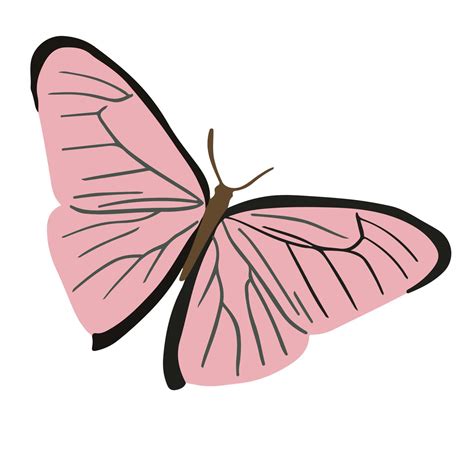Beautiful Pink Butterfly Good For Graphic Design Resources 22272837