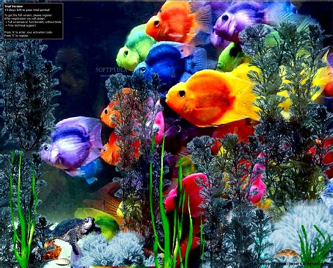 Best Aquarium Screensaver Windows 10 Specialistpag
