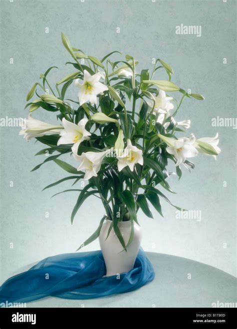 Bunch Of Lilies Vase Hi Res Stock Photography And Images Alamy