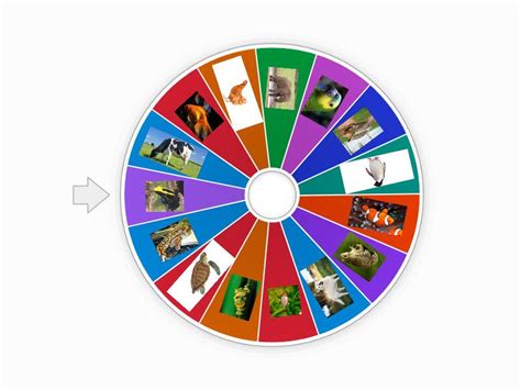 Animales Vertebrados Spin The Wheel