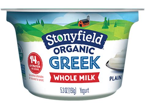 7 Best Greek Yogurts According To Nutritionists Nutrition Tips