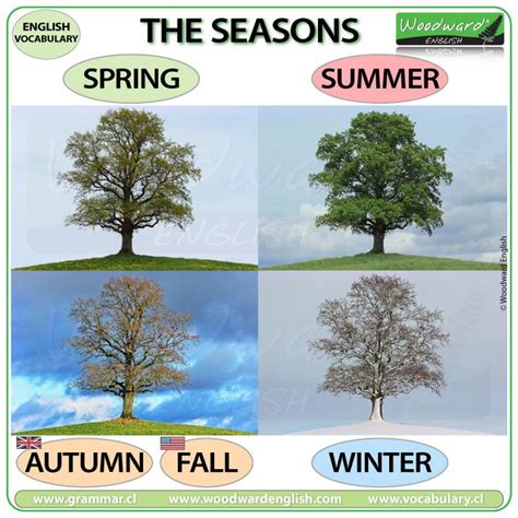 Seasons Vocabulary In English Woodward English English Vocabulary