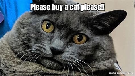 Please Buy A Cat Please Meme Generator