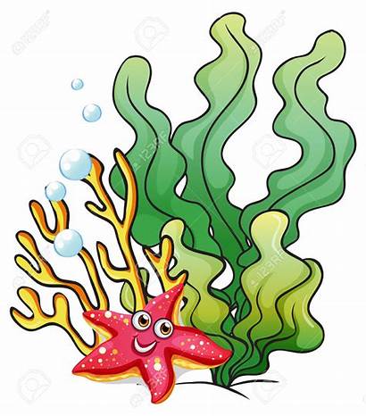 Coral Reef Clipart Illustration Clipartmag