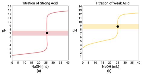 Acid Base Ph Titration Curves And Equivalence Points Concept