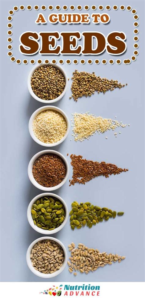 12 Types Of Seeds And Their Nutrition Benefits In 2021 Nutrition