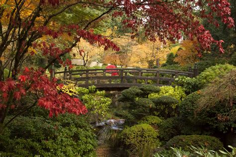 Gem Of The Pacific Northwest The Portland Japanese Garden The Daily