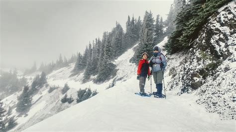 Hurricane Ridge Snowshoe — Washington Trails Association