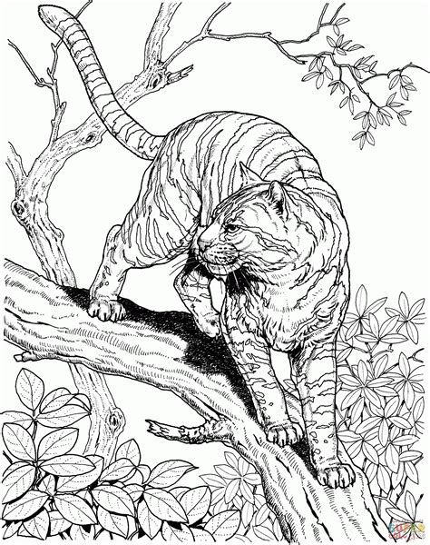 There is no rule what the color of the kitten should be. Jungle Animals Coloring Pages Free - Coloring Home