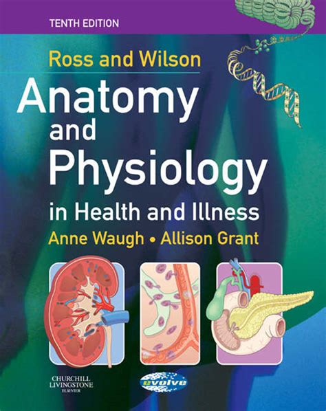Ross And Wilson Anatomy And Physiology In Health And Illness By Grant Allison Bsc Phd Rgn