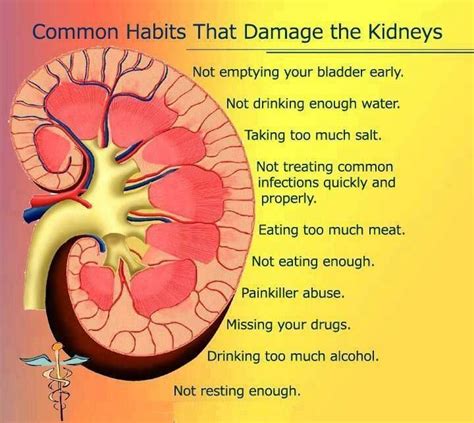 Health Kidneys Kidney Disease Awareness Kidney Health Health Chart