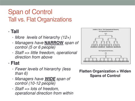 What Is A Disadvantage Of A Flat Organizational Structure