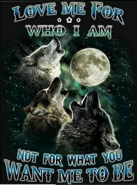You Are In My Heart And Soul Love Wolves Sooo Much Wolf Love Wolf