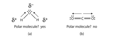 Which Electron Dot Diagram Represents A Polar Molecule Free Wiring