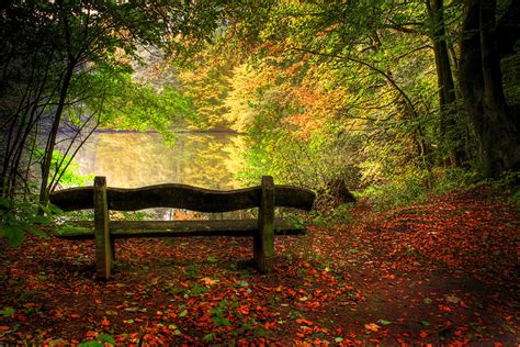 Fall Pictures Of Leaves And Trees Beauty Benches Cool Fall