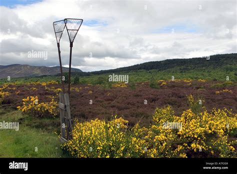 Scottish Heather Moors And Besam Fire Beaters Scotland Uk Stock Photo