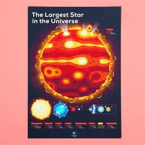 Largest Star Poster In A Nutshell Kurzgesagt Infographic Poster