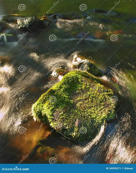 Big Mossy Boulder In Water Of Mountain River Clear Blurred Water With