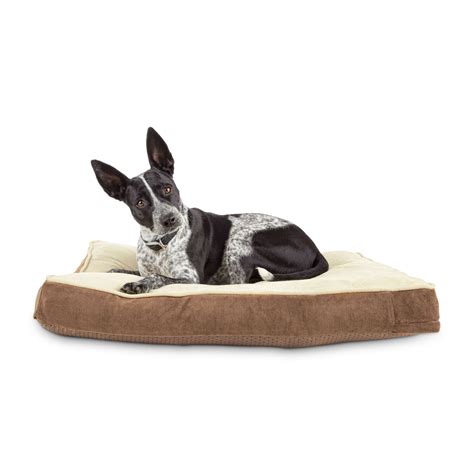 Everyyay Essentials Snooze Fest Brown Lounger Dog Bed 33 L X 24 W