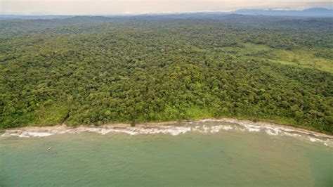 337Ha Caribbean Beachfront Land - Coastal Highway Property