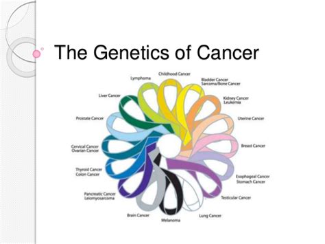 This can cause cells to multiply uncontrollably and become cancerous. The Genetics of Cancer