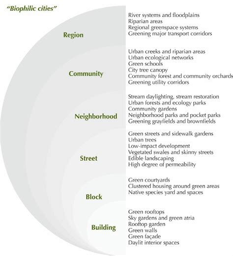 Biophilic Green Urban Design Elements In Cities Adapted From Beatley