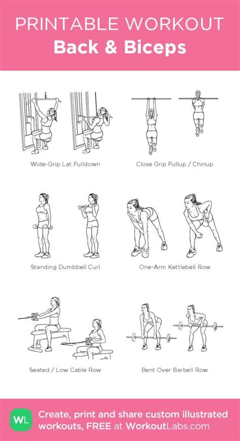 Back Biceps My Custom Exercise Plan Created At Workoutlabs Com Click
