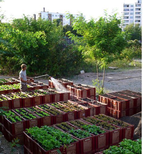 Mobile Planter Boxes Inside Urban Green The Princess
