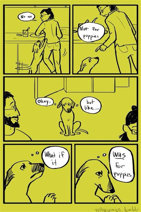 Pin By Kathryn Maughan On Puppies With Images Funny Comics Comics
