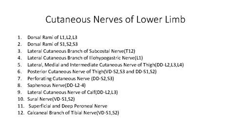 Cutaneous And Dermatomal Innervation Of Lower Limb Learning