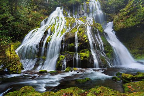 Waterfalls Moss Panther Creek Falls Columbia River Gorge Oregon