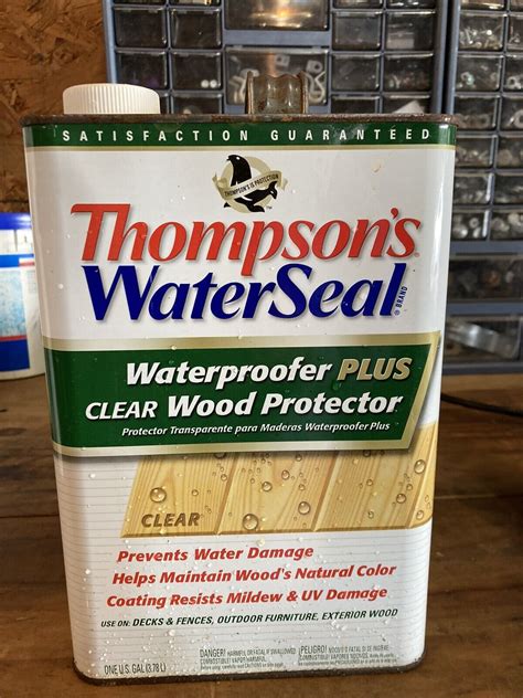 Thompsons Waterseal Waterproofer Plus Clear Wood Protector 1 Gallon
