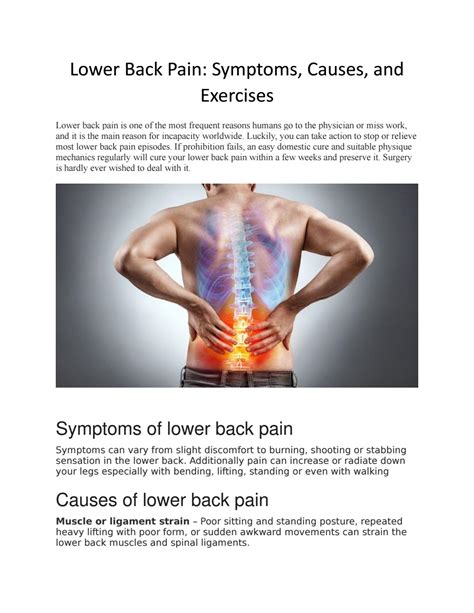 Lower Back Pain Symptoms Causes And Exercises By Healthreactiveindia