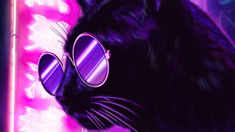 Cat Glasses Neon Purple Nights 4k Wallpaperhd Artist Wallpapers4k Wallpapersimages
